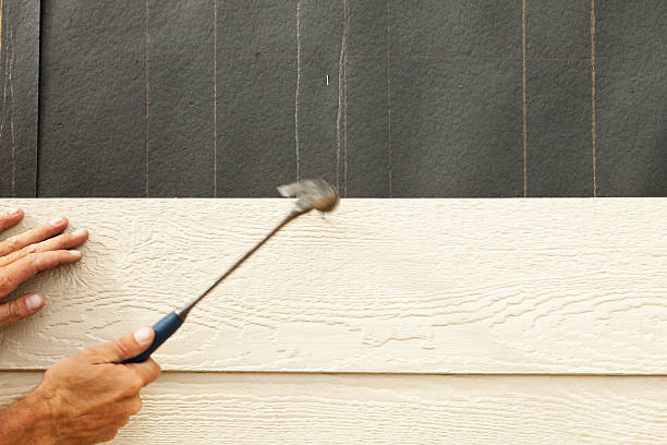Best Siding Painting and Refinishing  in Turlock, CA